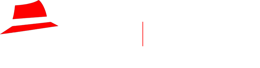 Detailing Mafia Logo
